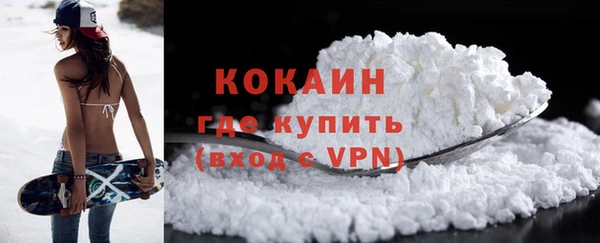 бошки Бородино