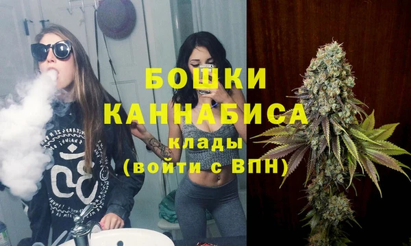 бошки Бородино
