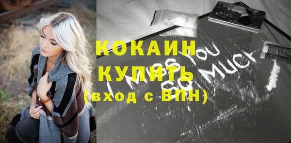 бошки Бородино