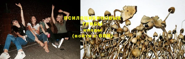 мяу мяу кристалл Бугульма