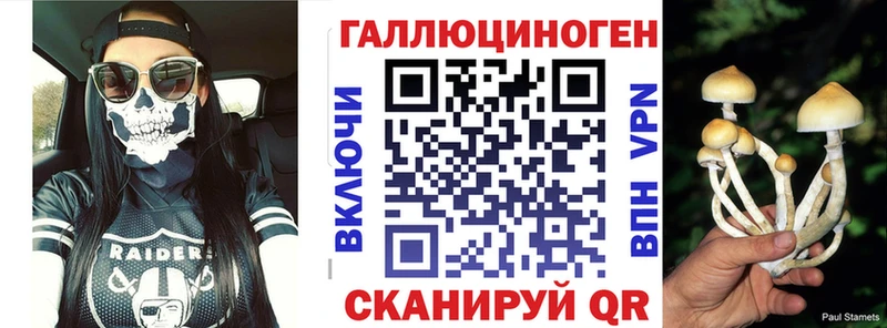магазин    Нюрба  Галлюциногенные грибы Psilocybine cubensis 